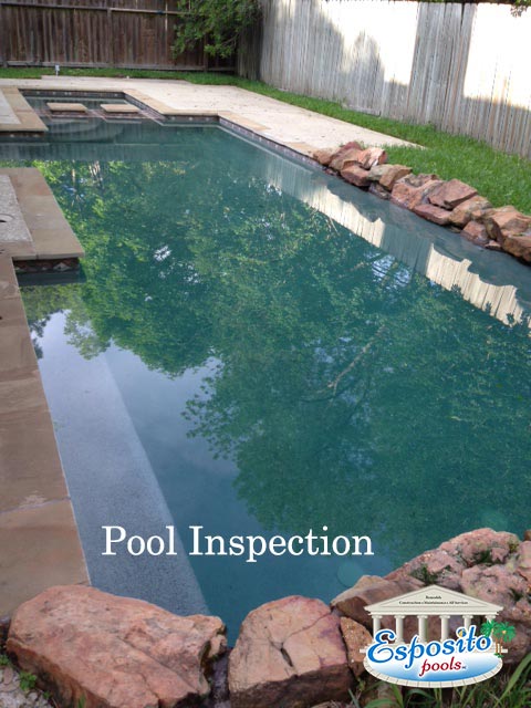 Pool Cleaning Cypress 